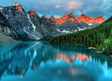 官方分享Chovy观看Ucal庆祝动作：非常好，已认证